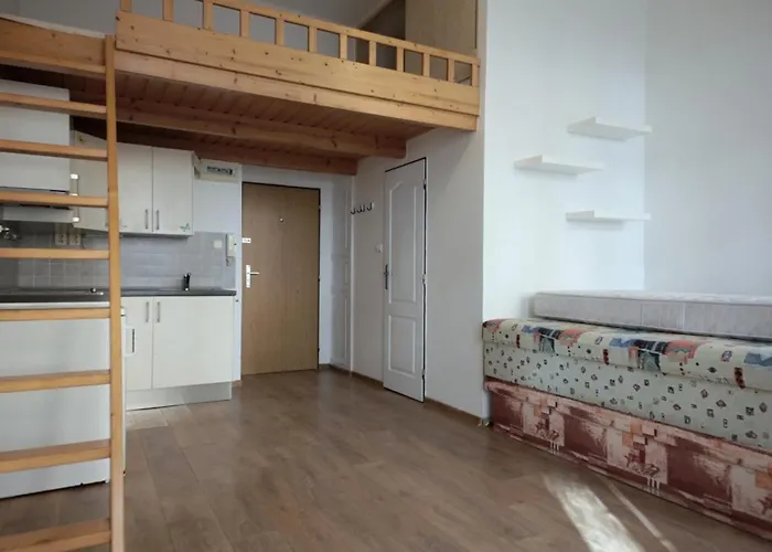 Apartmán Karlín - Pernerova 18 Praha